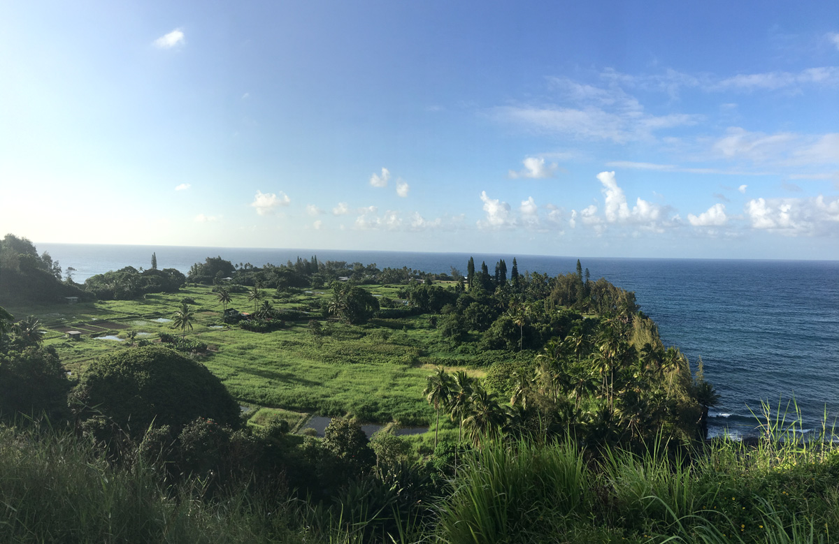 Our advice for a great day trip to Hana