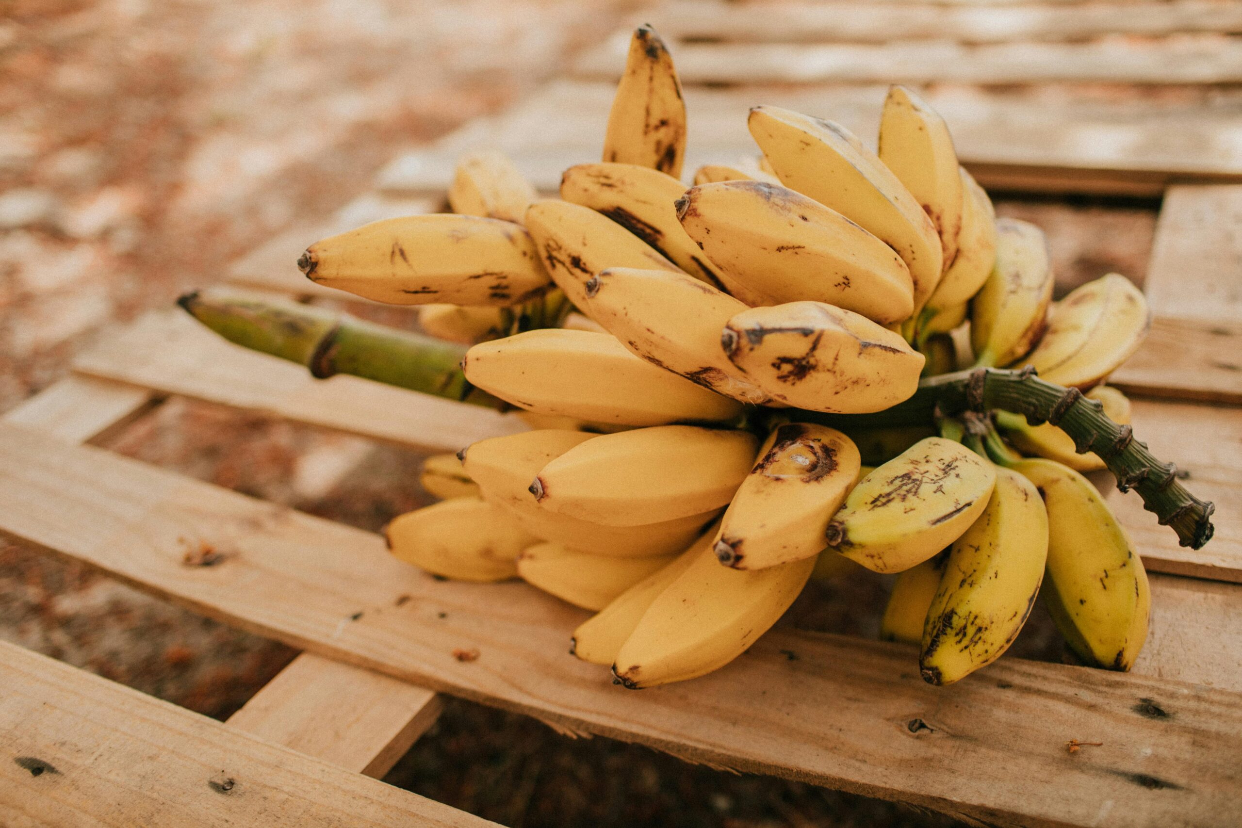 Exploring the Many Different Types of Banana Bread